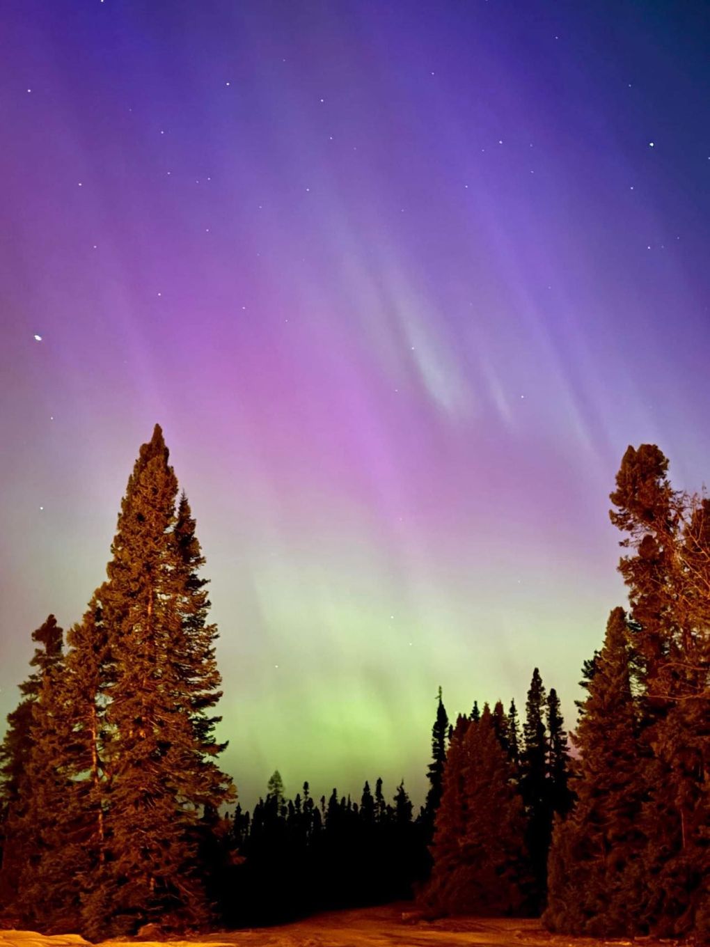 A purple and green sky with trees in the foreground