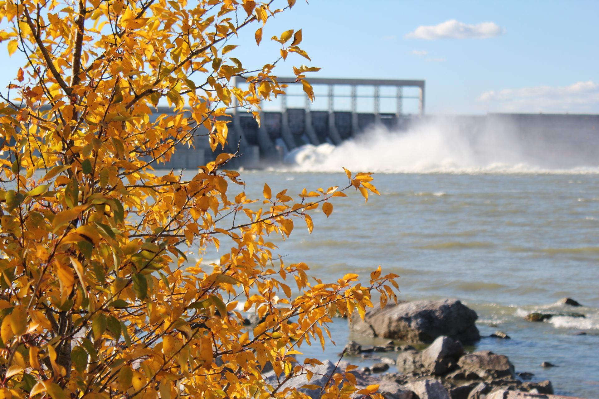 A river with a dam in the background and a tree in the foreground