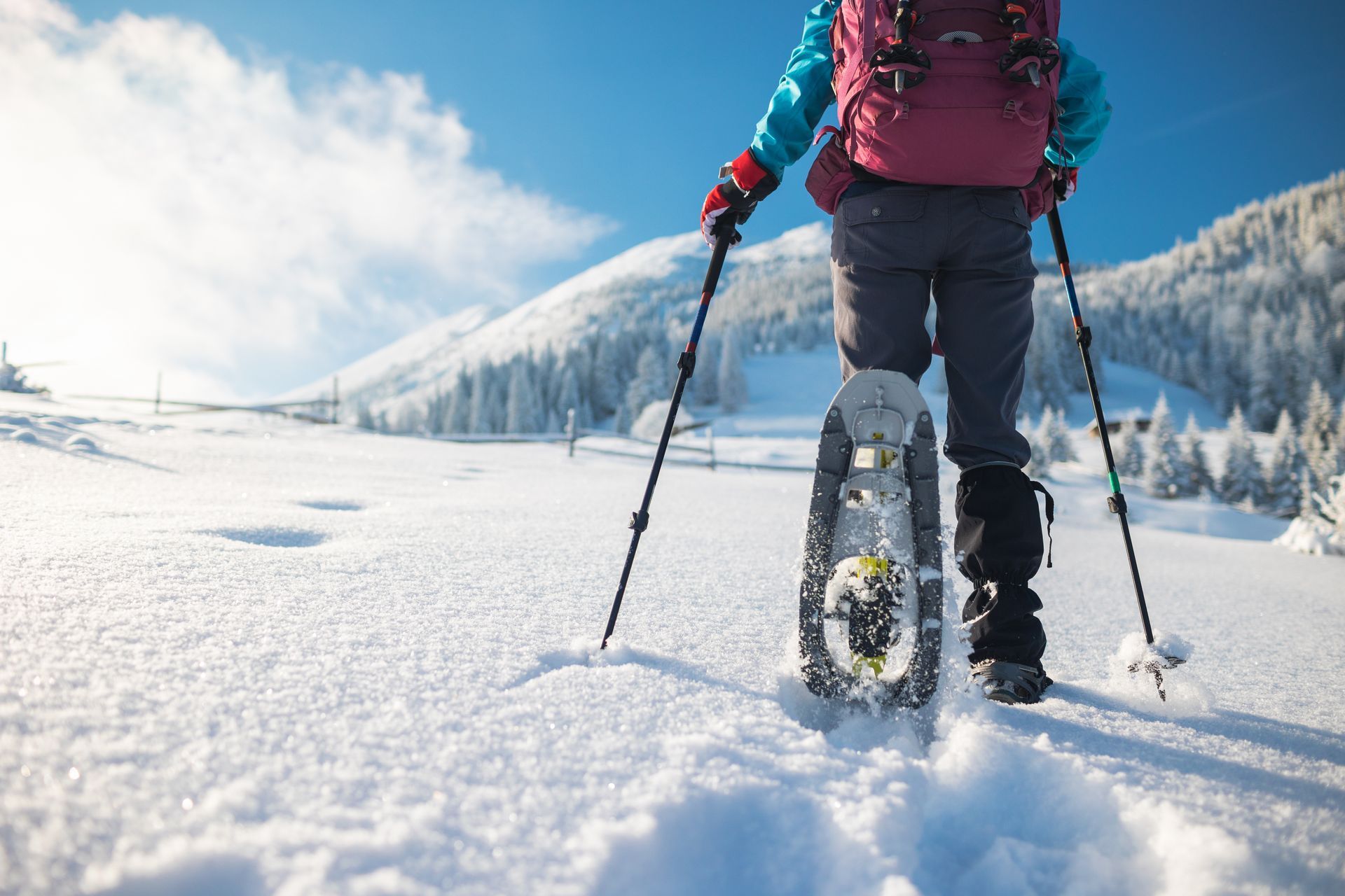 A person is walking through the snow with snowshoes and walking poles.