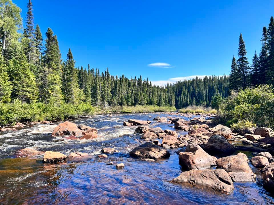 A river surrounded by trees and rocks on a sunny day.