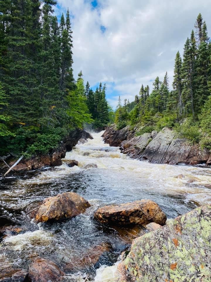 A river flowing through a forest with rocks in the foreground