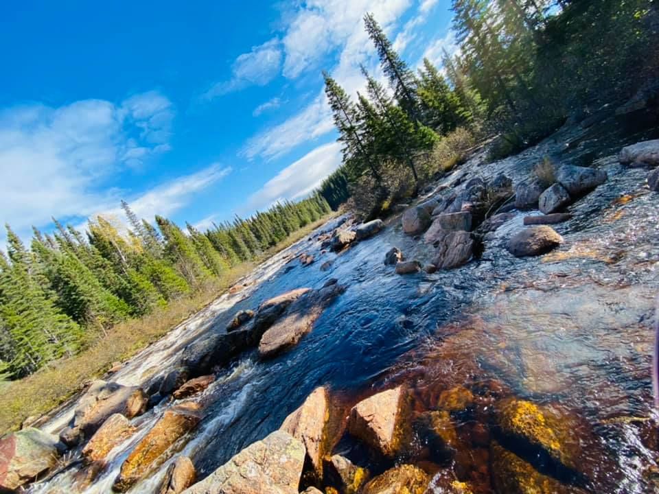 A river flowing through a lush green forest surrounded by rocks and trees.