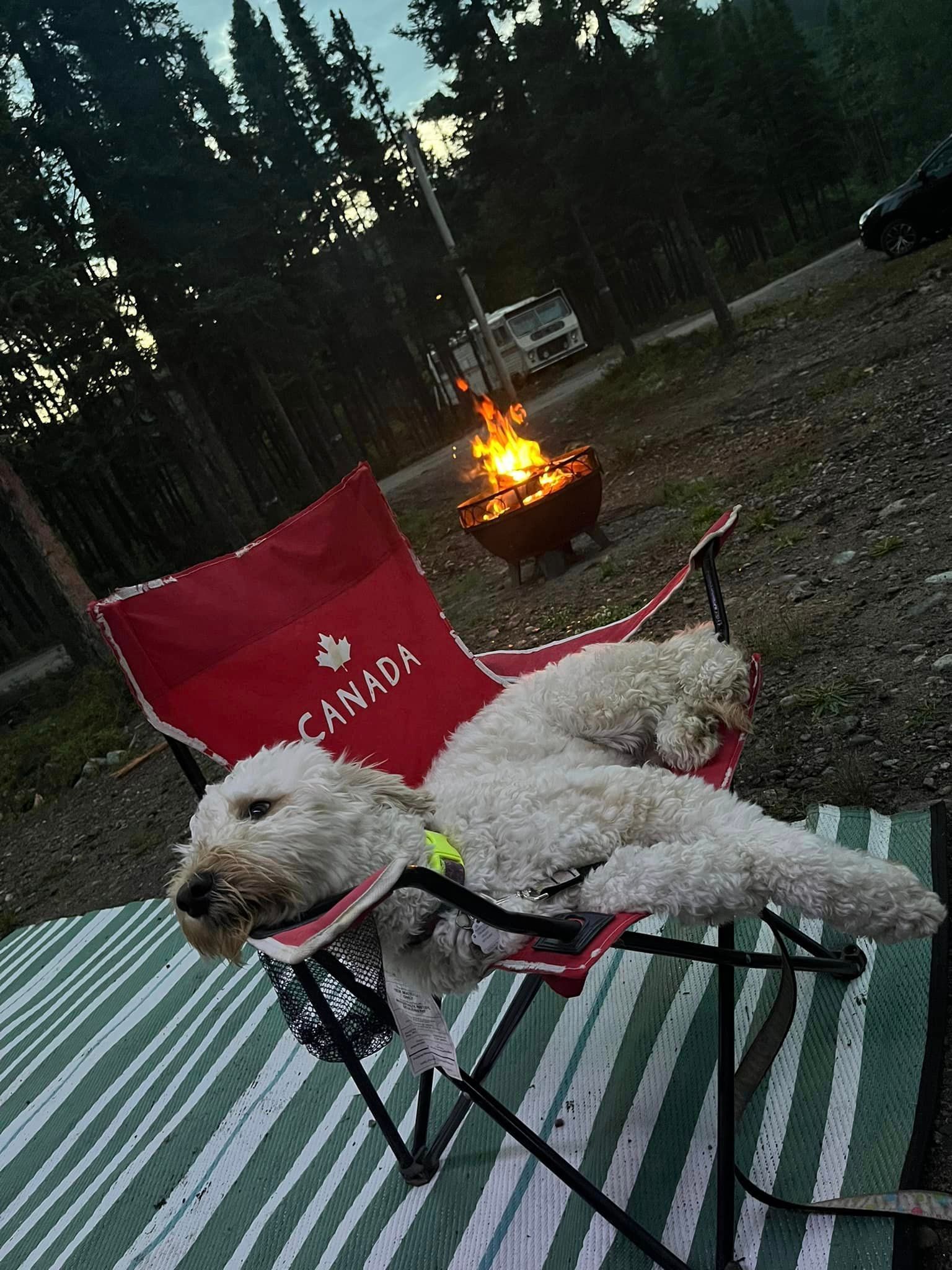 A small white dog is laying in a red chair in front of a campfire.