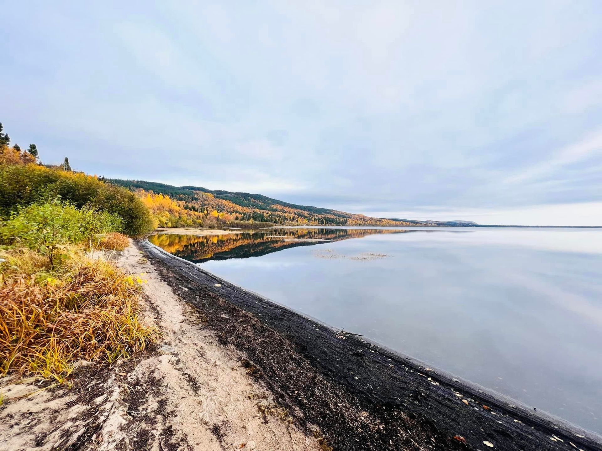 A path leading to a lake with trees on the shore.