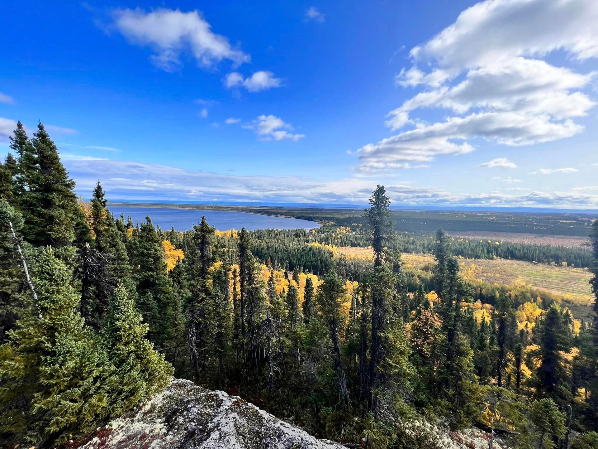 A view of a forest and a lake from a rocky cliff.
