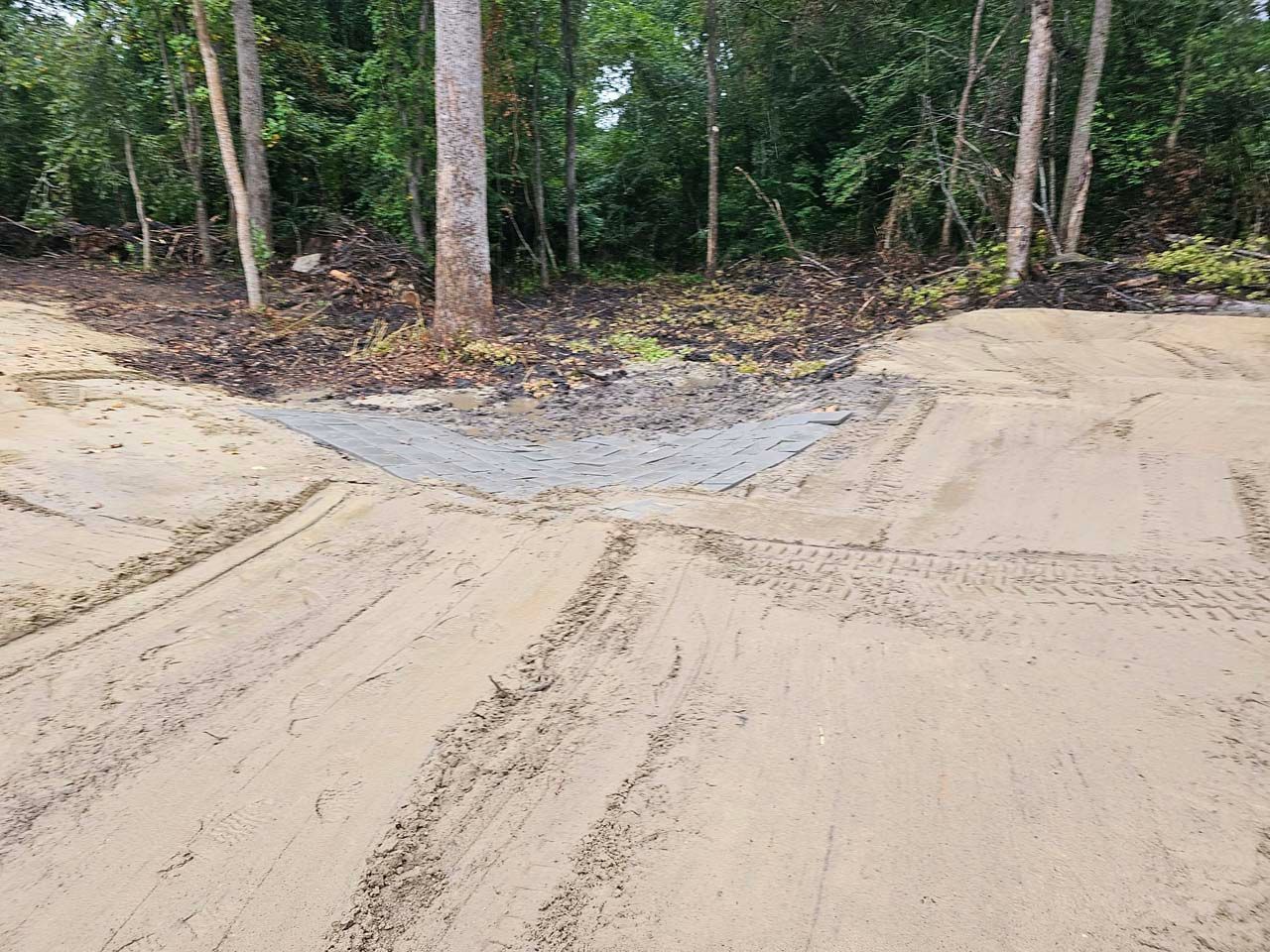 A dirt road in the middle of a forest with trees in the background.