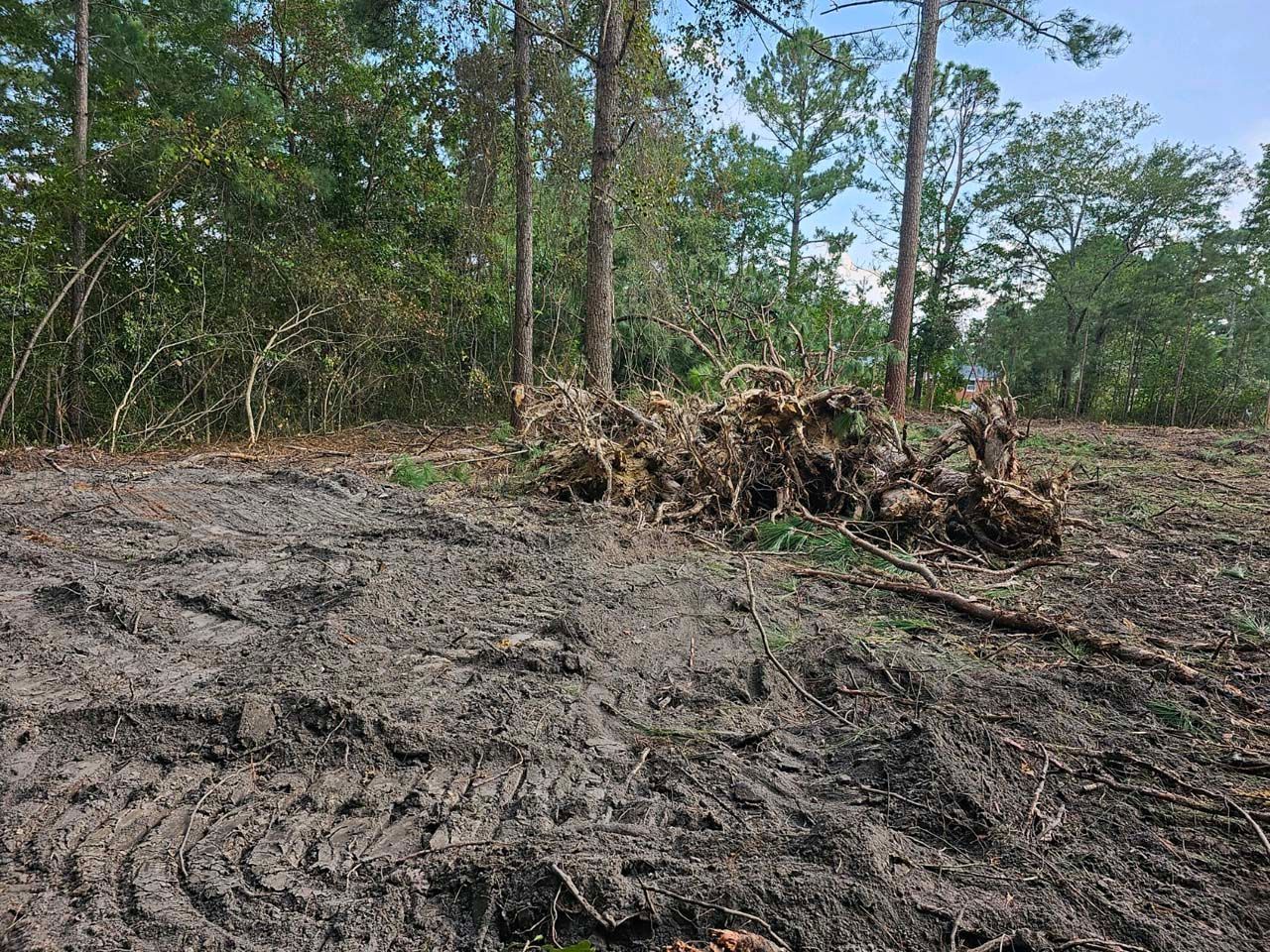 A muddy field with trees in the background and tire tracks in the dirt.