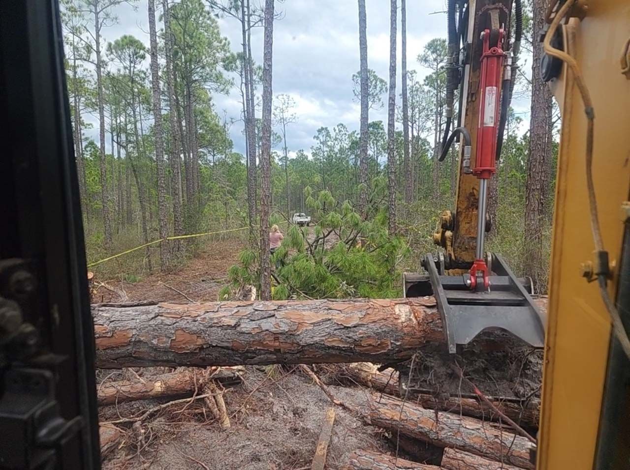 A large log is being lifted by a bulldozer in a forest.