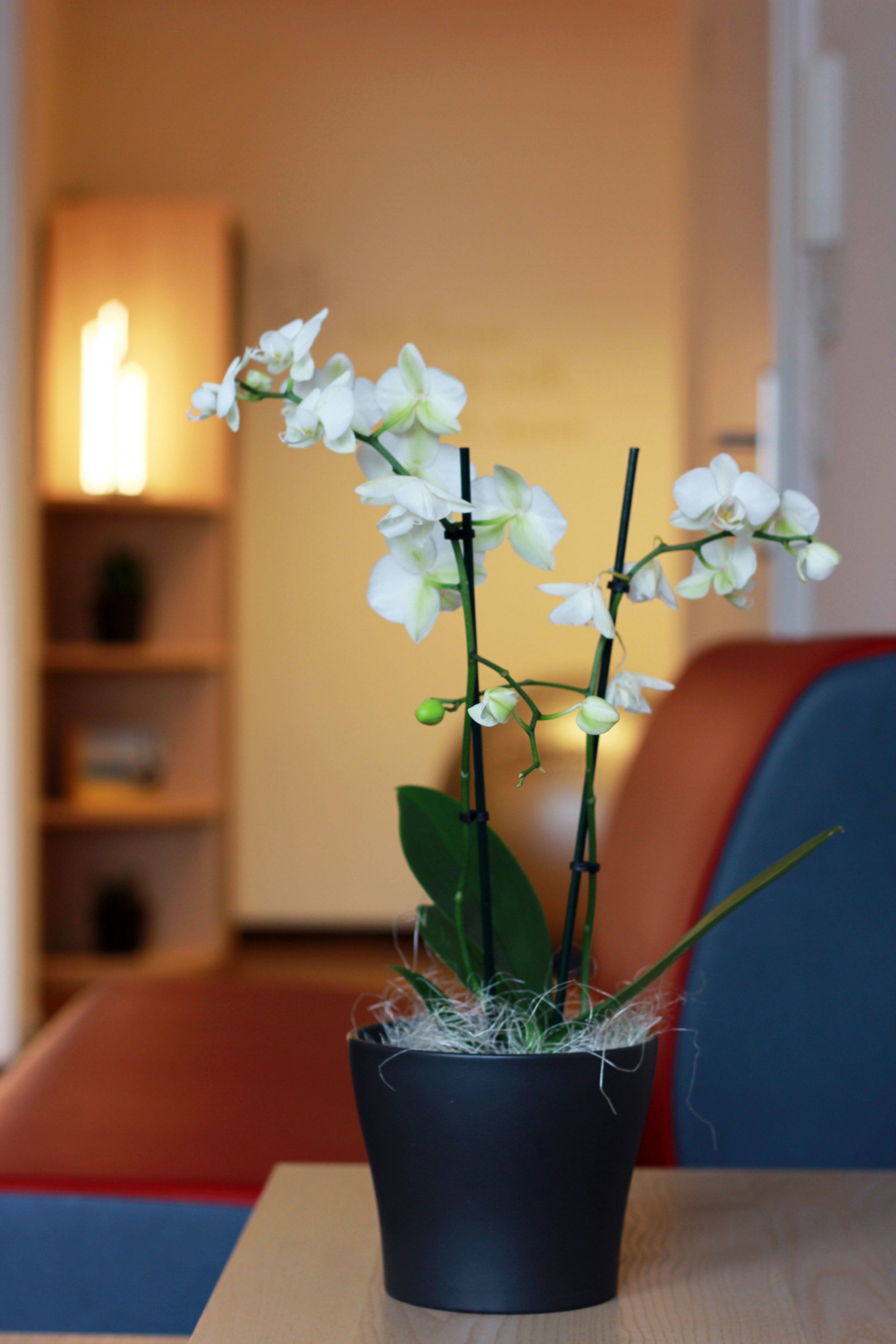 Imagefoto im Wartezimmer