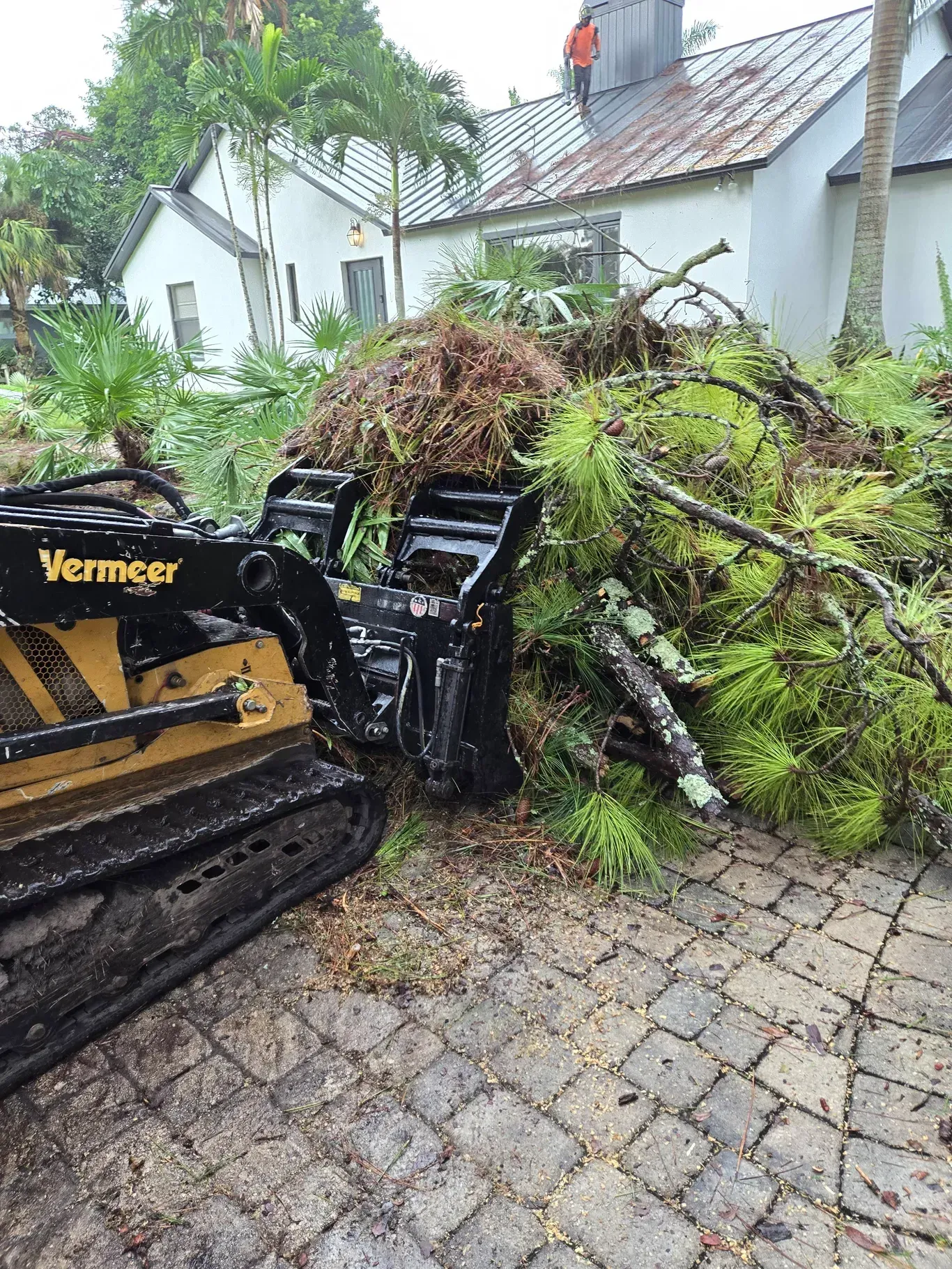 Licensed & Insured Landscaping Specialists in Tequesta, FL