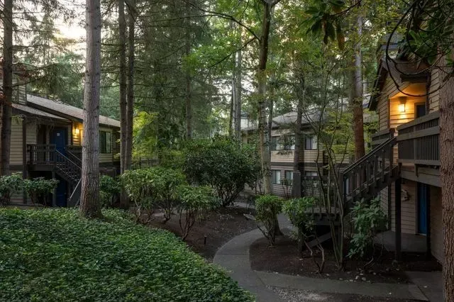 A walkway leading to a building in the middle of a forest