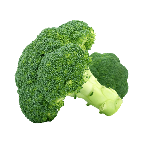 una testa di broccoli su sfondo bianco