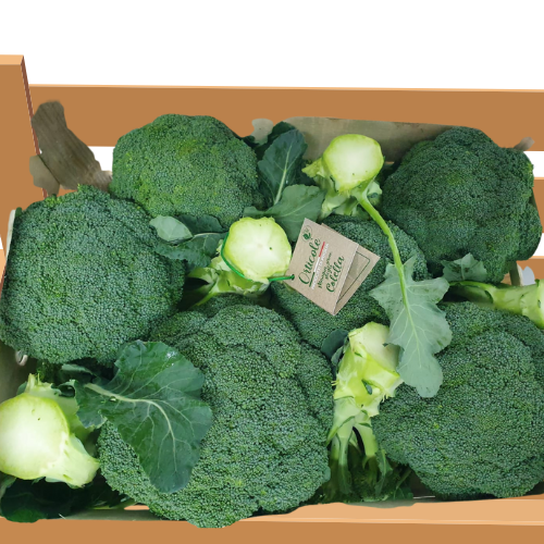 una scatola di broccoli con un'etichetta che dice "broccoli" sopra