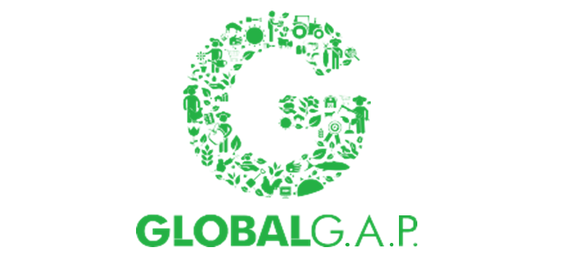 un logo verde per un'azienda chiamata Global Gap
