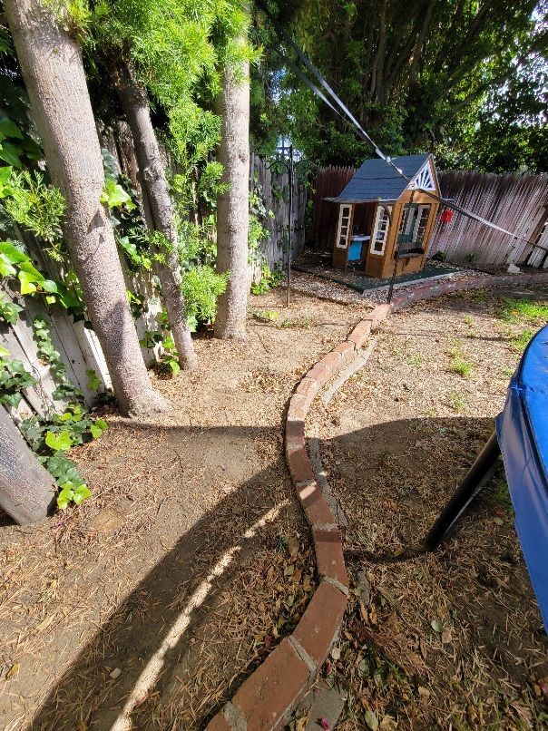 back yard dirt planter