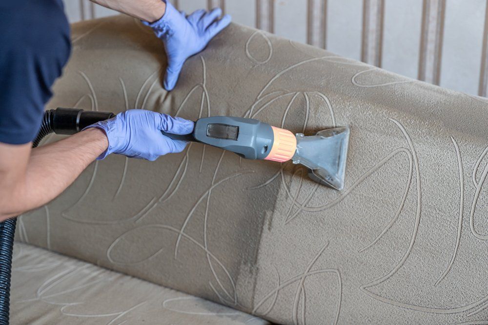 Professional Worker Cleaning a Couch