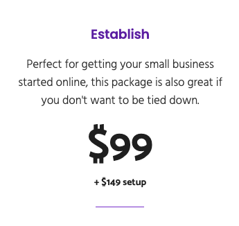 $99 Monthly Website Offer