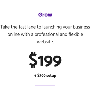 $199 Monthly Website Offer