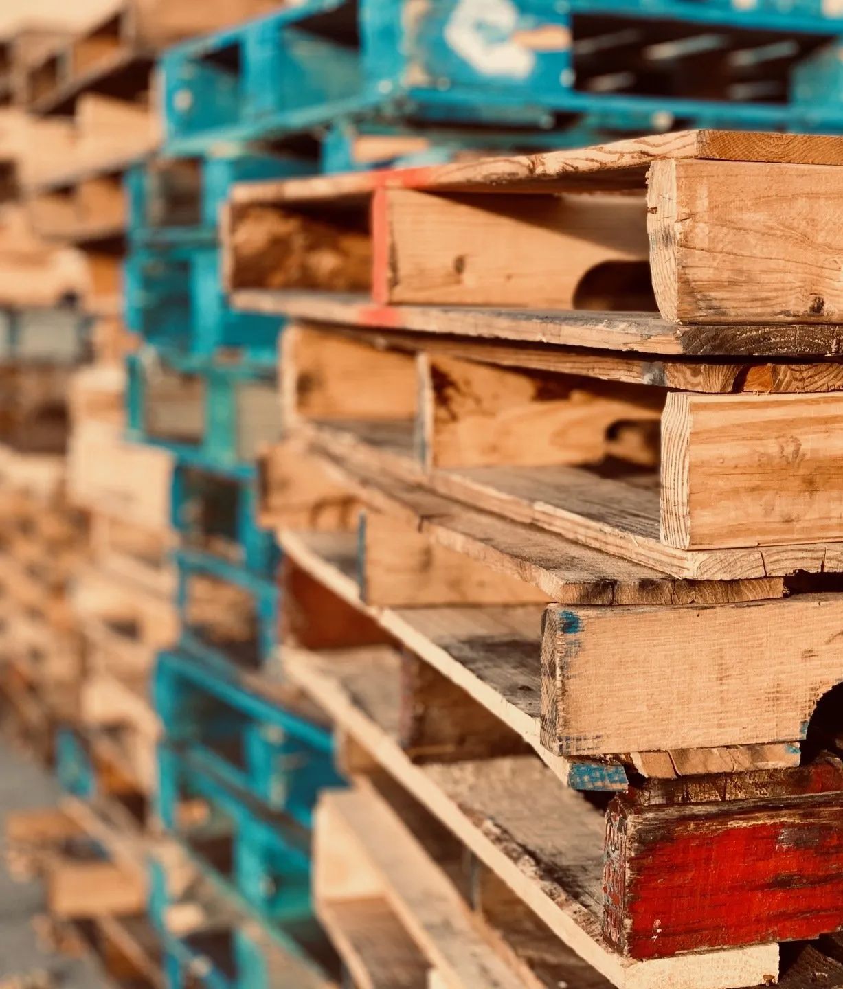 Stacks of Reconditioned Pallets
