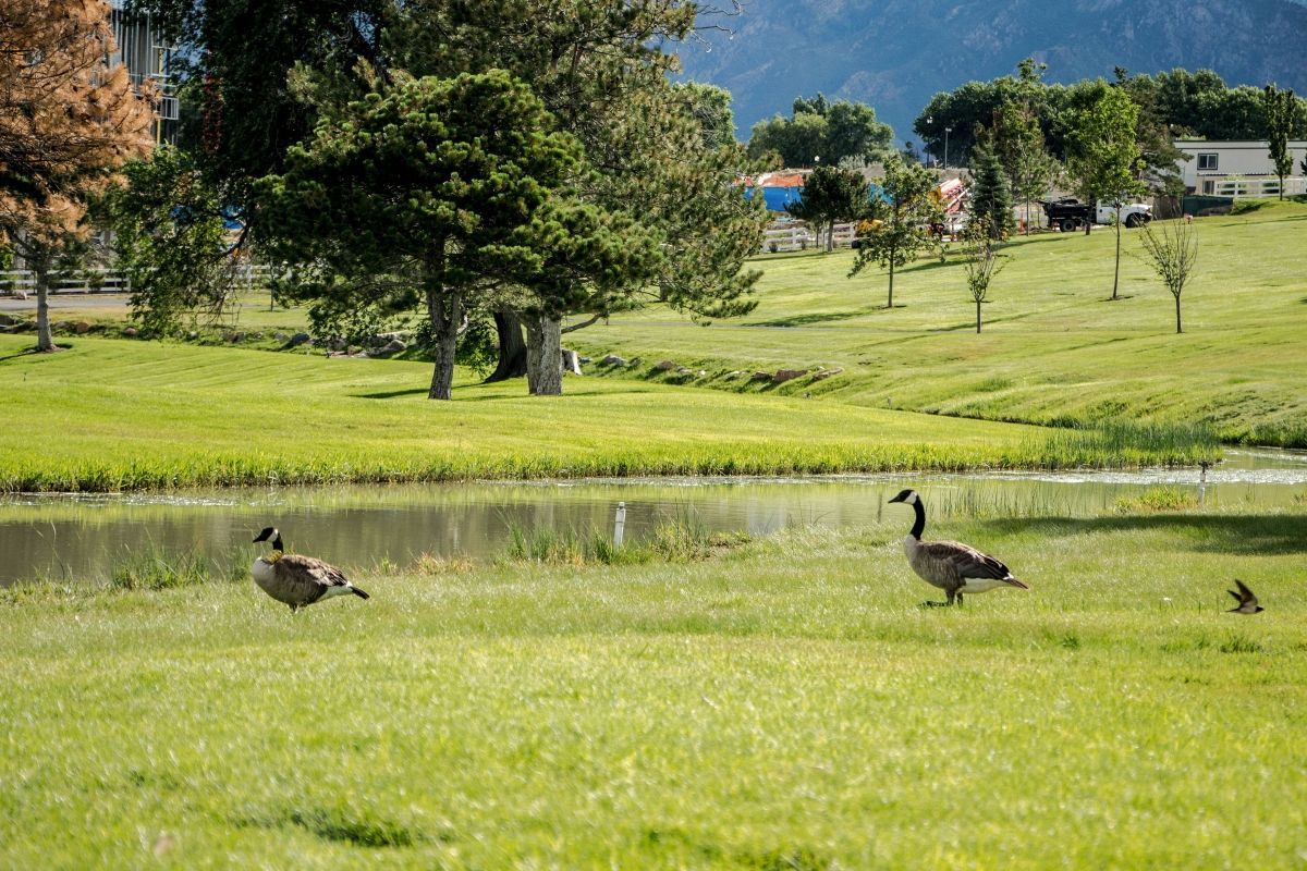 Memorial Lake Hills Mortuary and Cemetery