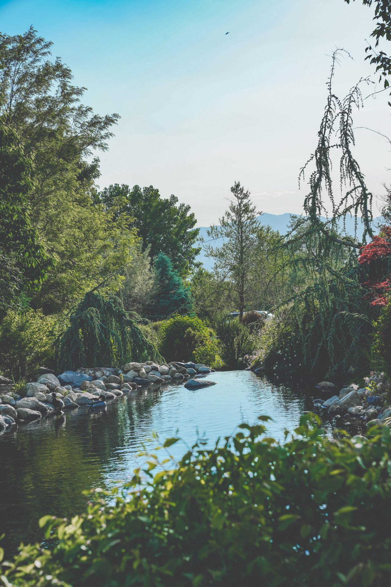 Memorial Mountain View Mortuary, Cemetery and Pet Garden