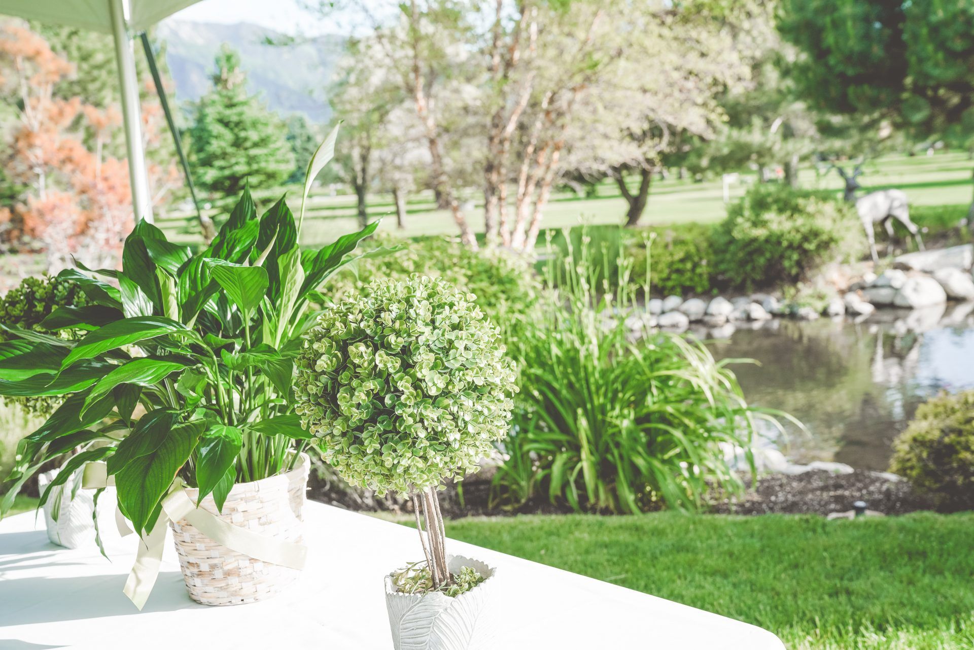 Memorial Mountain View Mortuary, Cemetery and Pet Garden