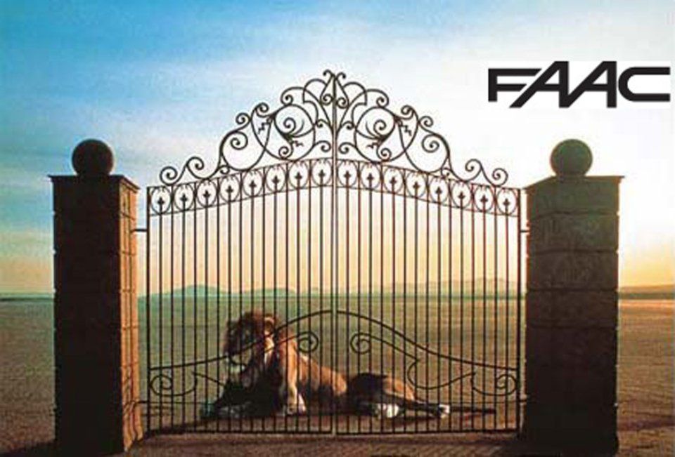 automatismi per cancelli faac