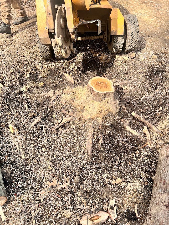 A stump grinder pulverizes a tree stump, creating wood chips on a dirt ground.