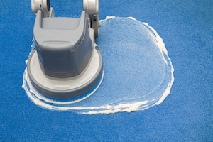An industrial carpet cleaner in South London hard at eok. A blue carpet with swirls of detergent visible during cleaning.