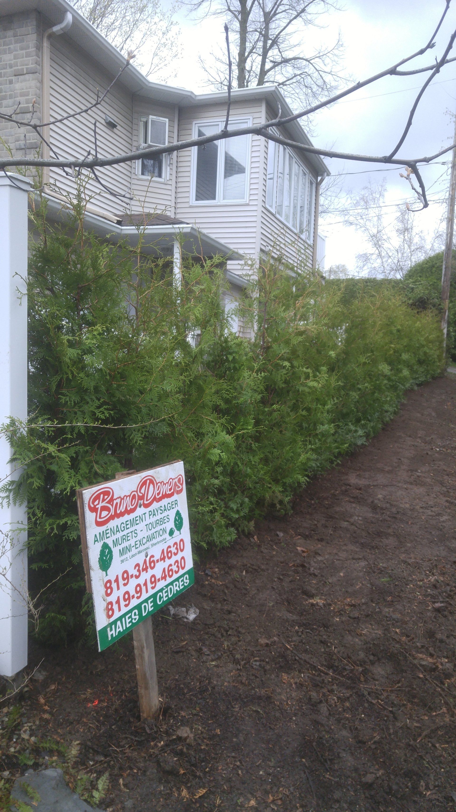 installation de haies paysagiste bruno demers