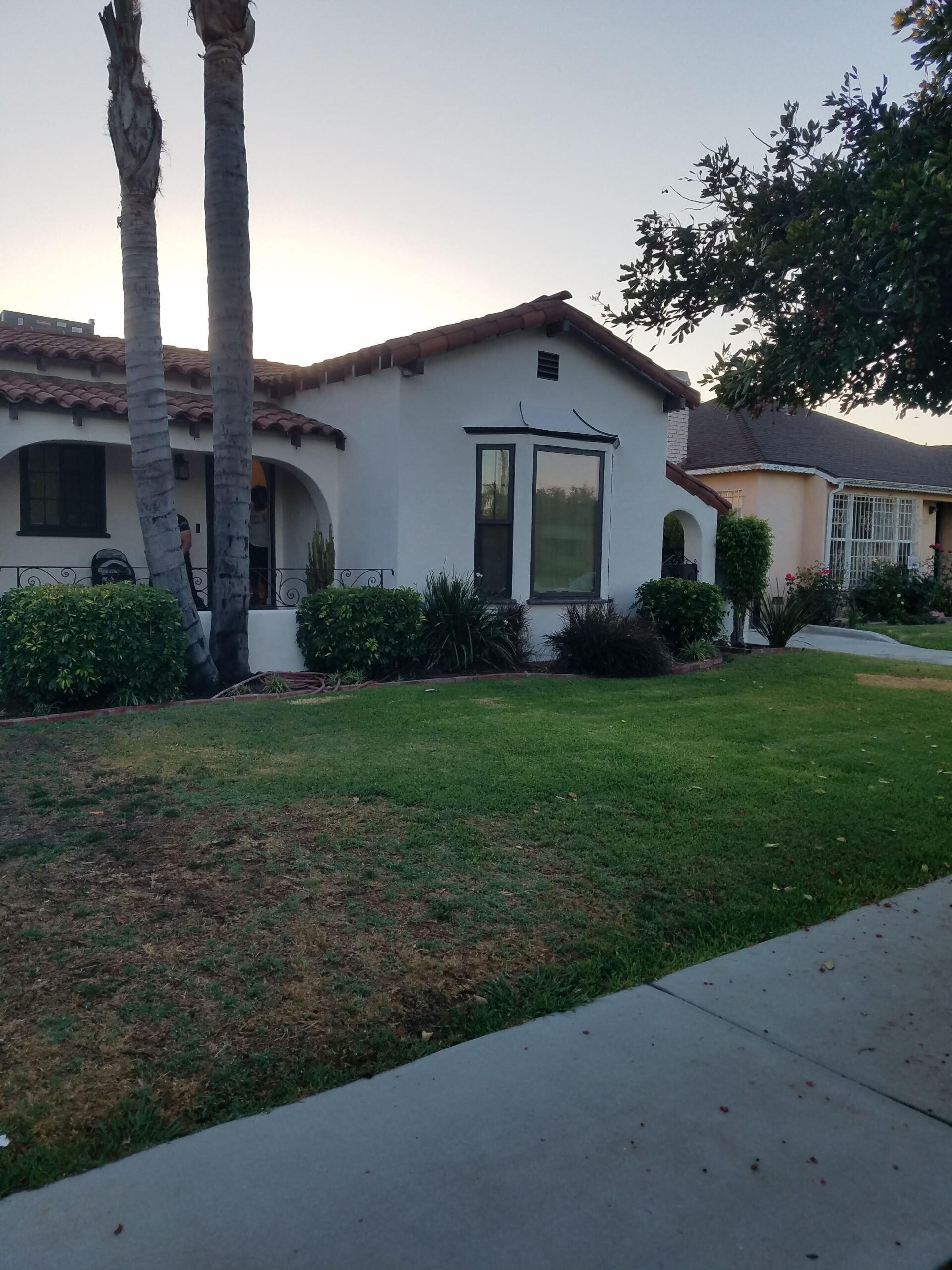 A white house with a palm tree in front of it