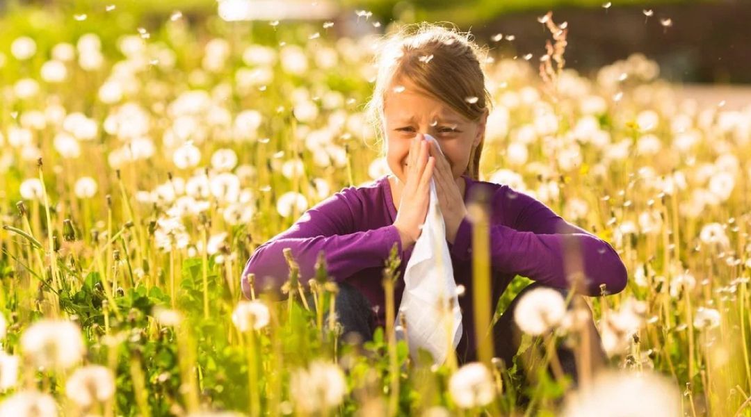 Sneazing woman in a field of dandilions with a tissue to her nose