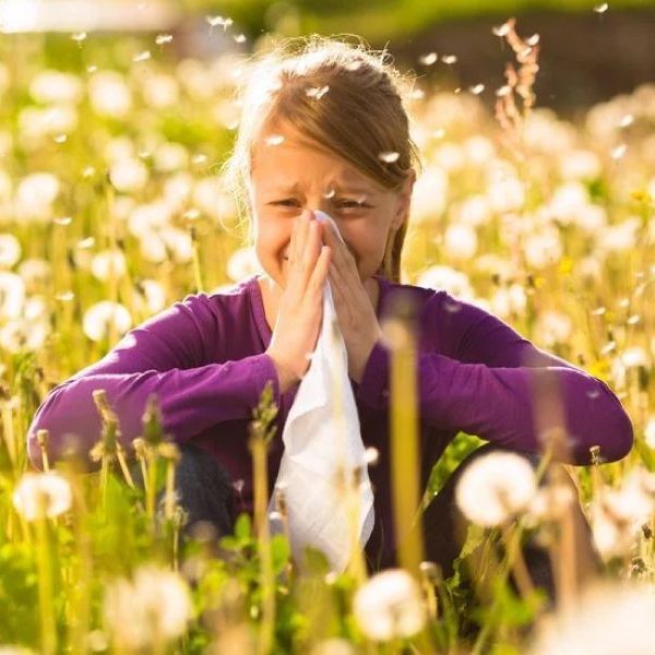 A young girl is blowing her nose in a field of dandelions