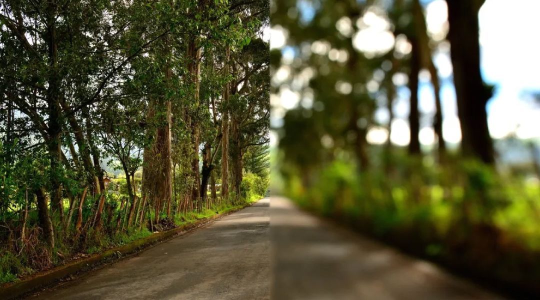 A country road showing normal vision on the left side and the view with an astigmatism on the right