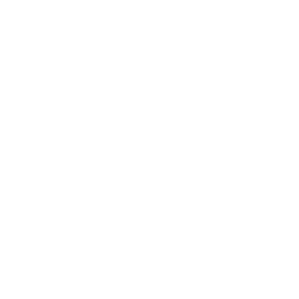 Booth and Bruce Logo