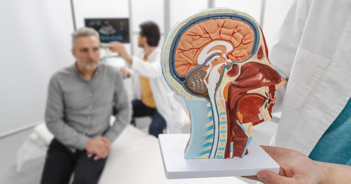 Doctor holding a brain model, showing a patient, other doctors looking at scan in background.