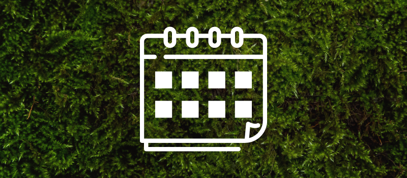 An icon of a calendar on a green background.