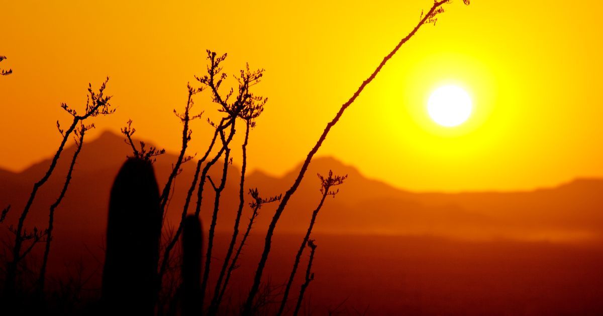 A sunset with a cactus in the foreground and mountains in the background