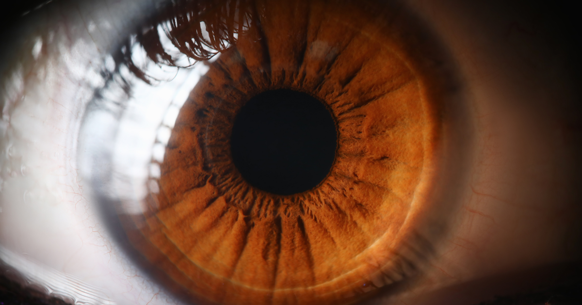 A close up of a brown human eye with a black pupil.