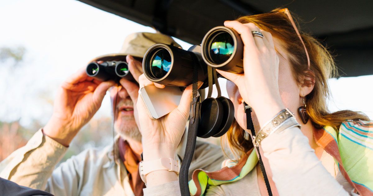 A man and a woman are looking through binoculars in a car.