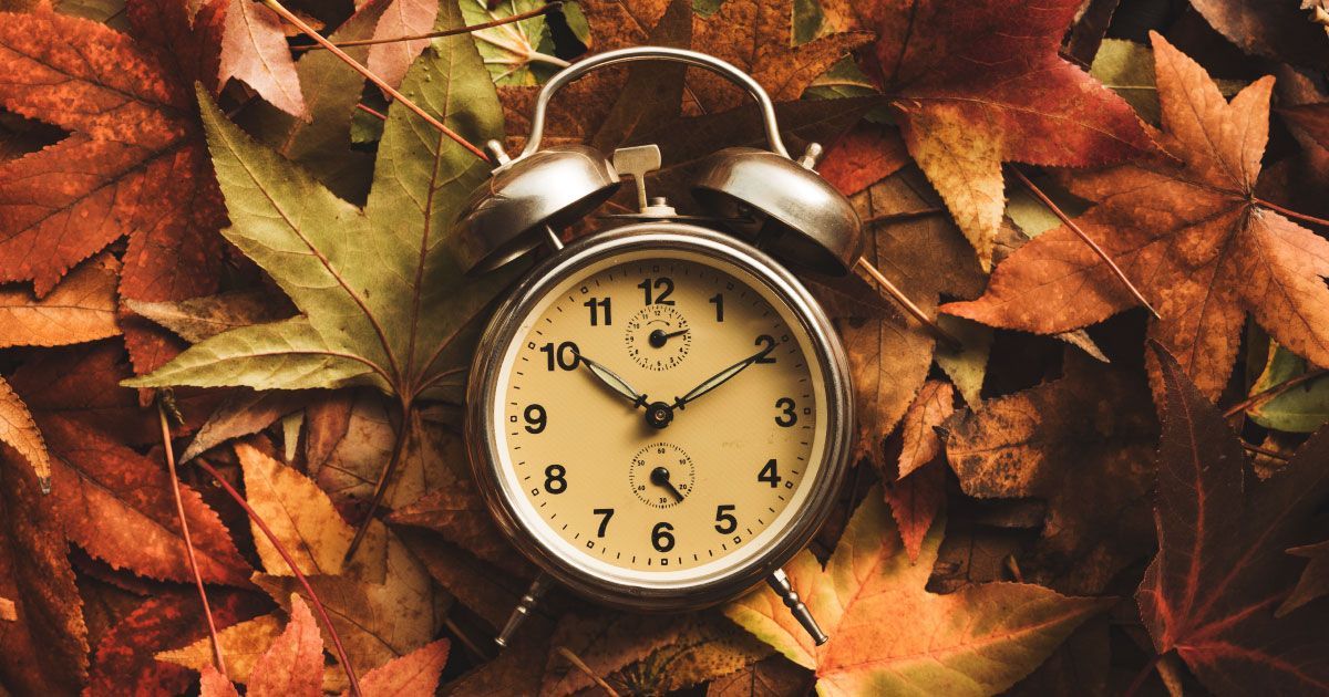 An alarm clock is sitting on top of a pile of leaves.