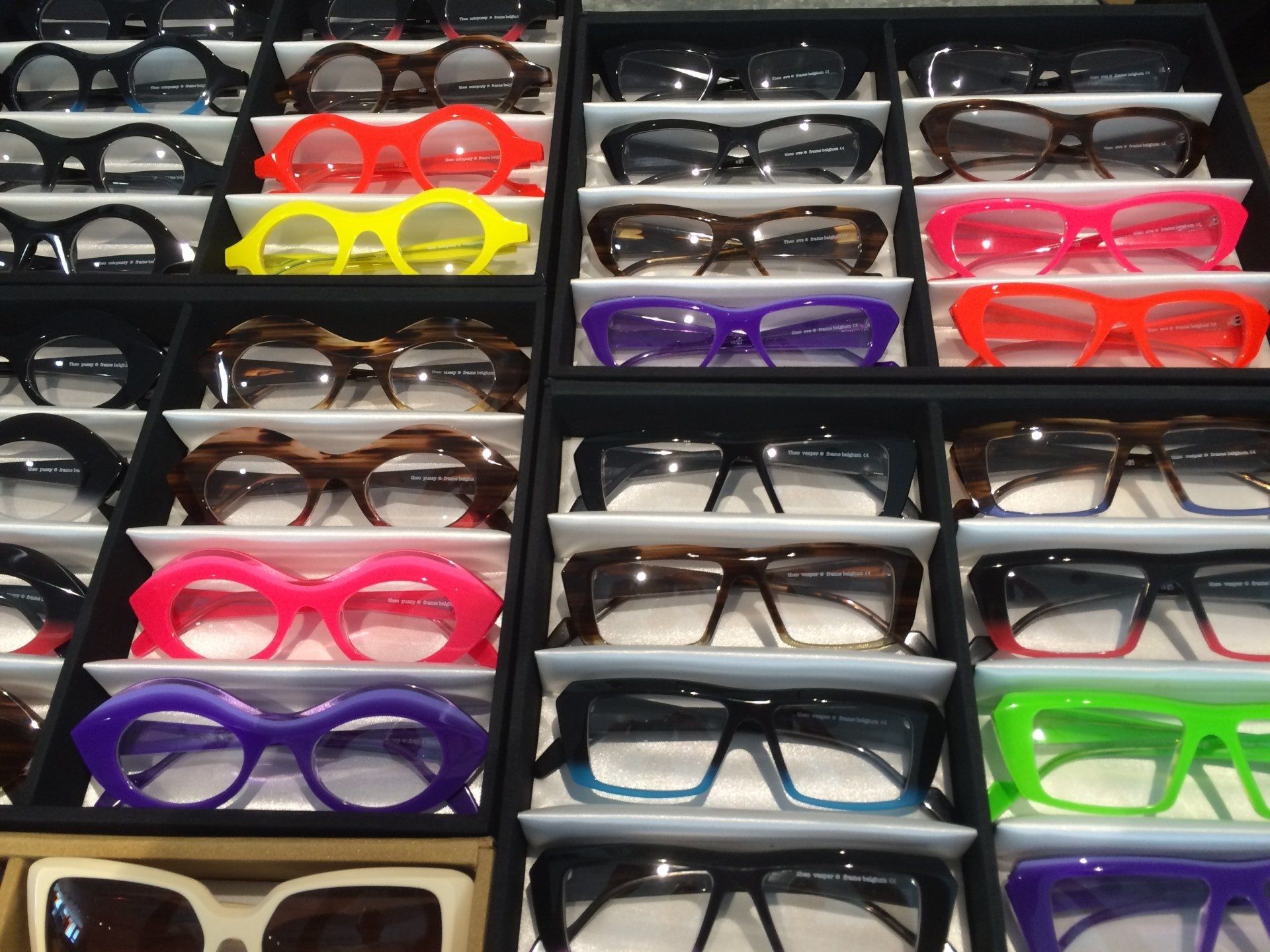 Display cases of colorful Theo frames at Theo Trunk Show event