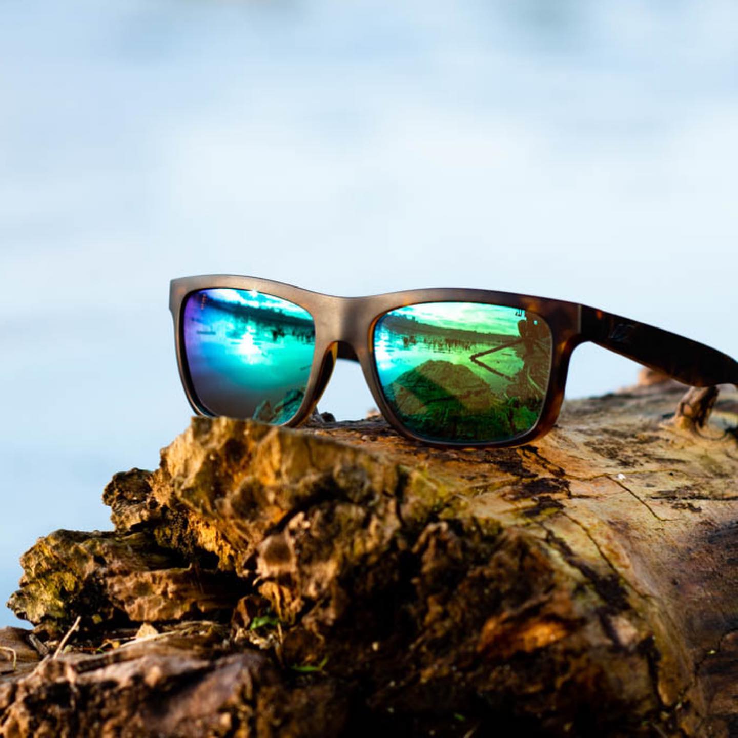 Kaenon sunglasses in tortoise brown with mirror lenses sitting on a piece of wood