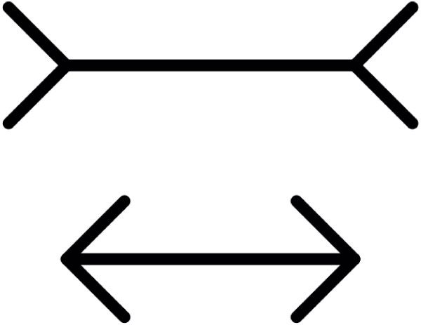 An example of the  Müller-Lyer illusion with a pair of arrows pointing in opposite directions on a white background.