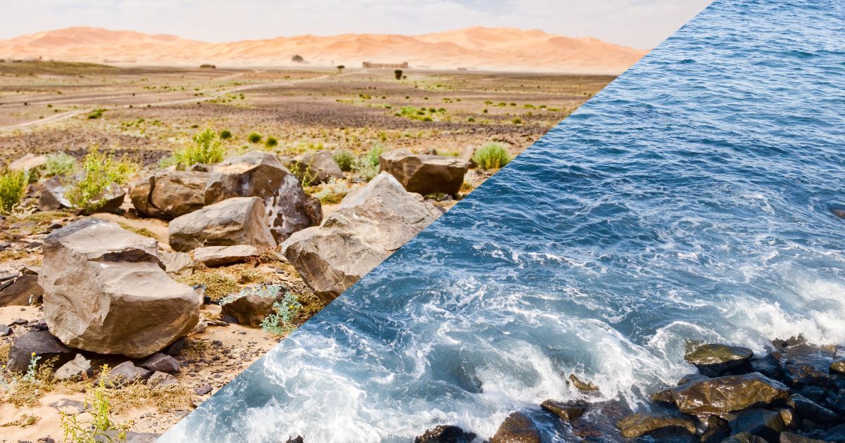 A split image showing a desert scene and an ocean with crashing waves; contrasting landscapes.