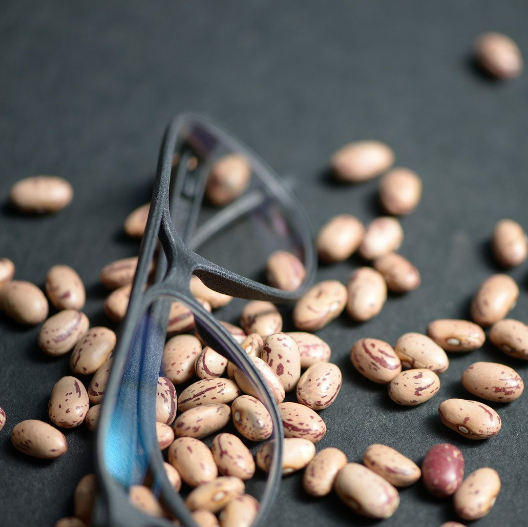 Gray ROLF pair of glasses on caster beans