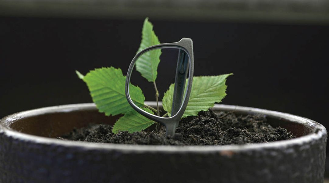 Plant in a pot with a pair of Rolf Subtance glasses planted in the soil