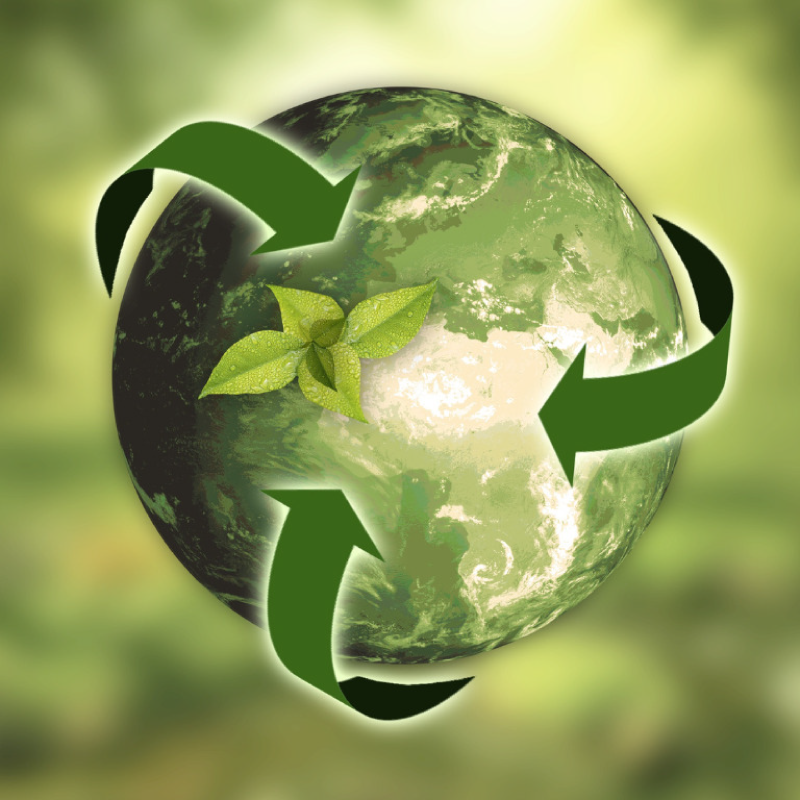 A globe with a plant growing from it with three green arrows wrapping around it