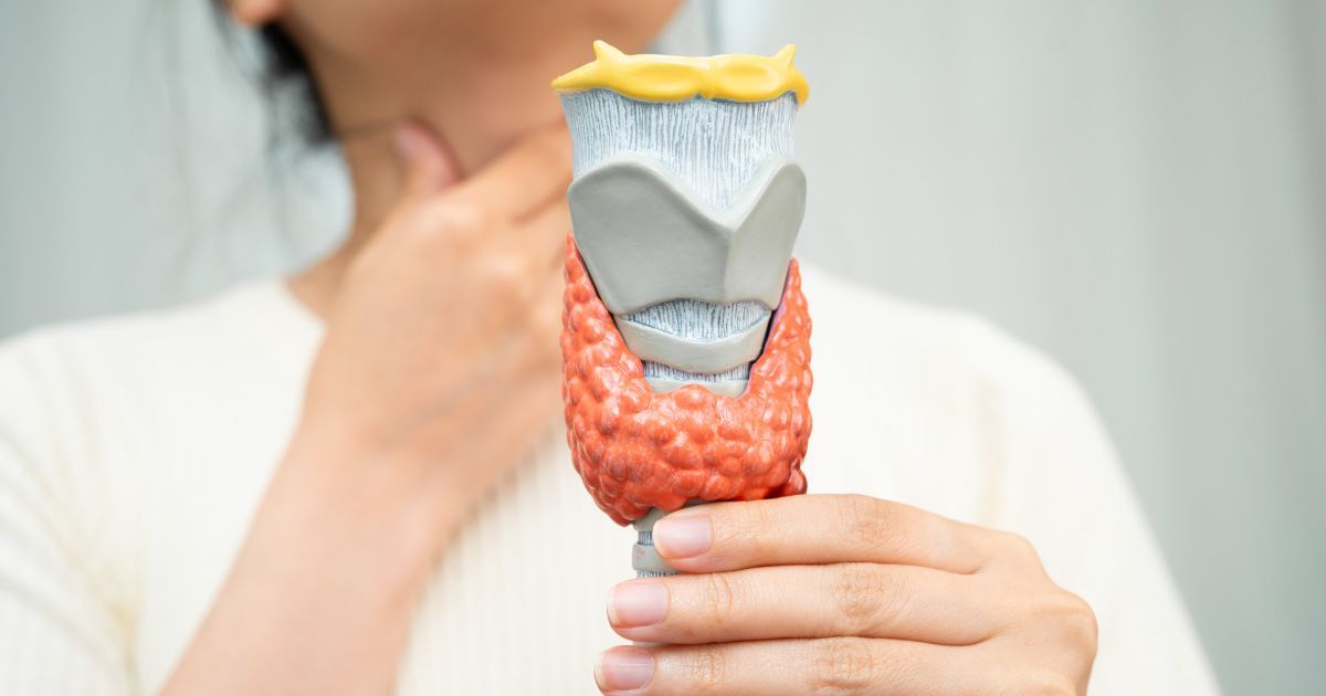 Woman holding a model of a thyroid, touching her neck.
