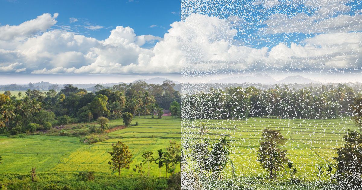 A picture of a field with trees with half of it clear and the other half has white snow or static ov